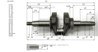 Коленвал в сборе