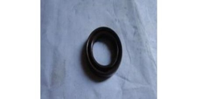 Сальник D30хd19.8х5