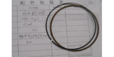 Кольцо маслосъемное в сборе