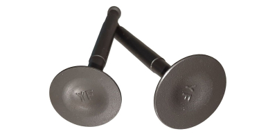 Комплект клапанов