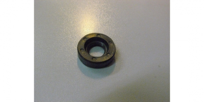 Сальник D22xd10x5