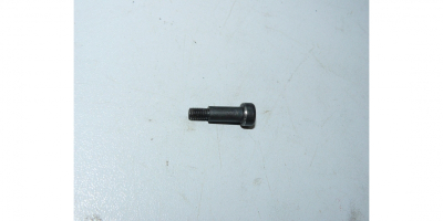 Винт специальный