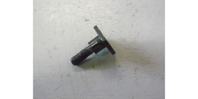 Винт специальный