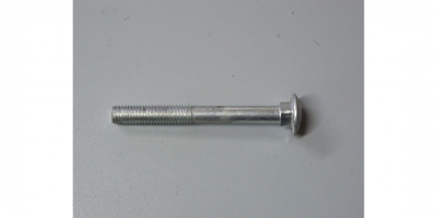 Винт M10х95 специальный