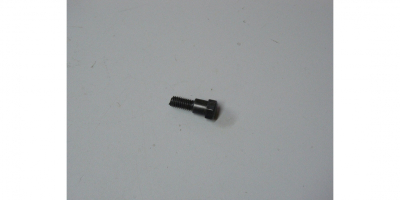 Винт M6 специальный