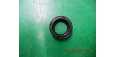 Сальник D30xd20x9