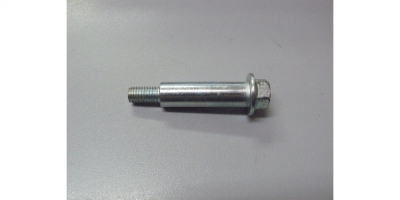 Болт специальный