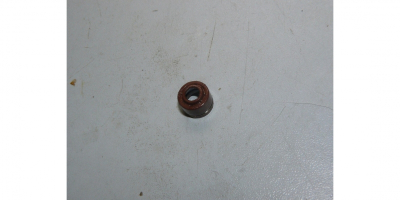 Колпачок маслосъемный 13 TGR C25