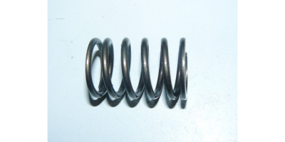 Пружина клапанная