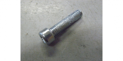 Винт M8x43 H6 (цилиндр) #F